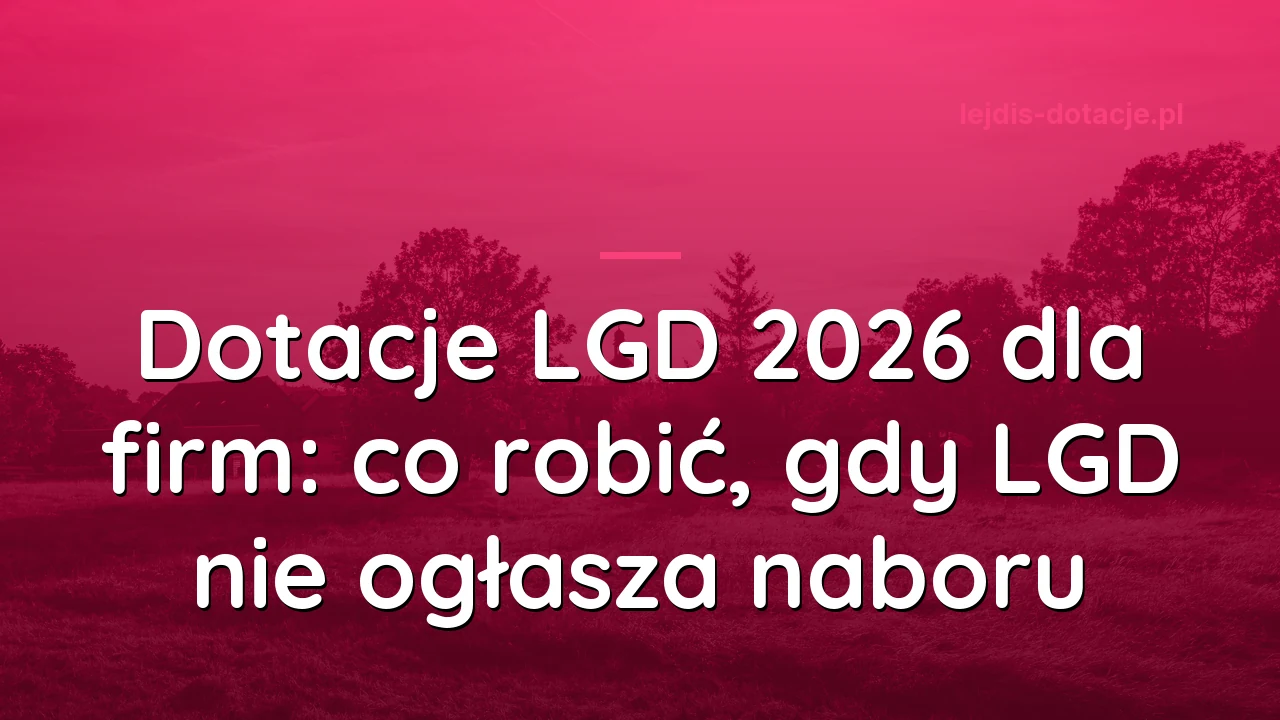 Dotacje LGD 2026 dla firm: co robić, gdy LGD nie ogłasza naboru