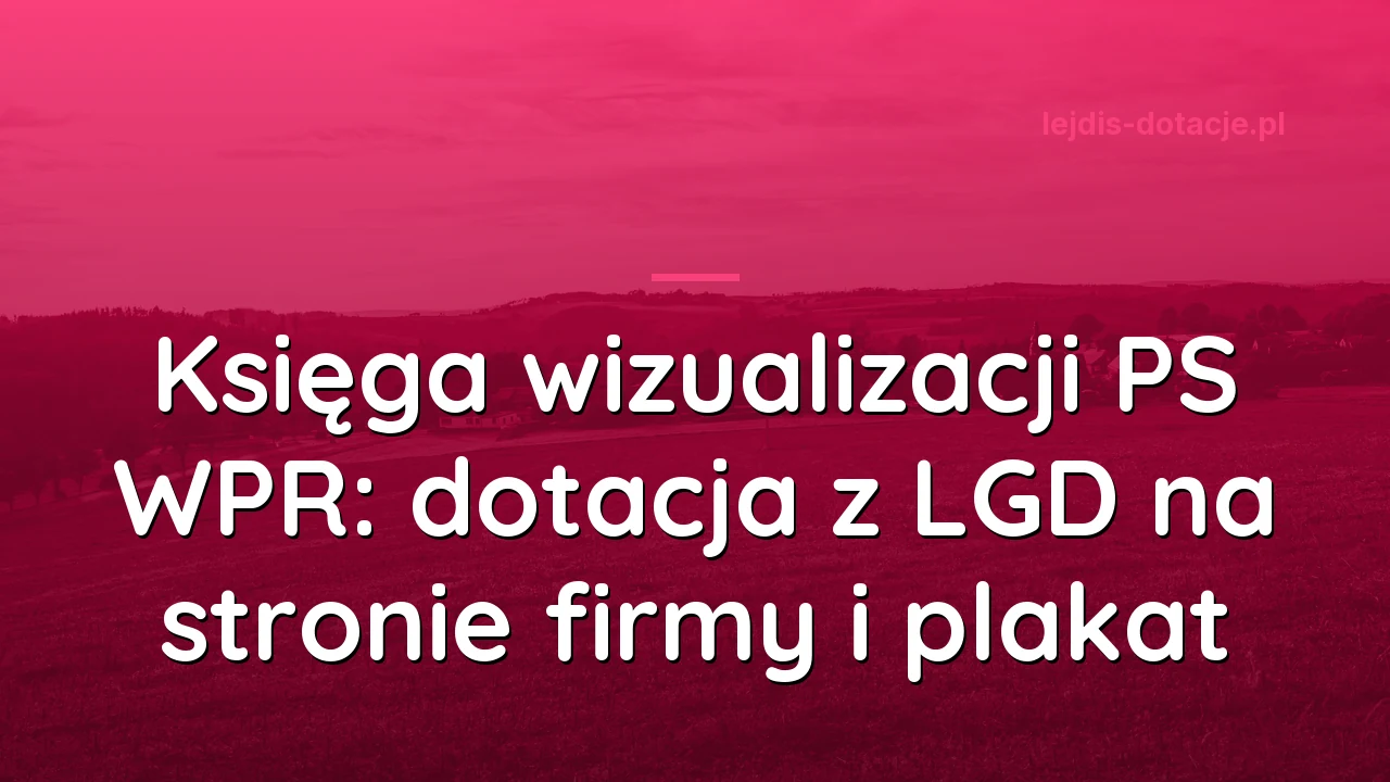 Księga wizualizacji PS WPR: dotacja z LGD na stronie firmy i plakat