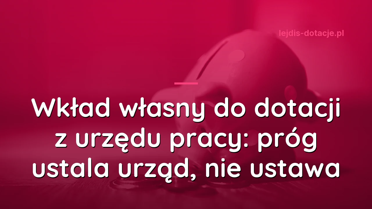 Wkład własny do dotacji z urzędu pracy: próg ustala urząd, nie ustawa