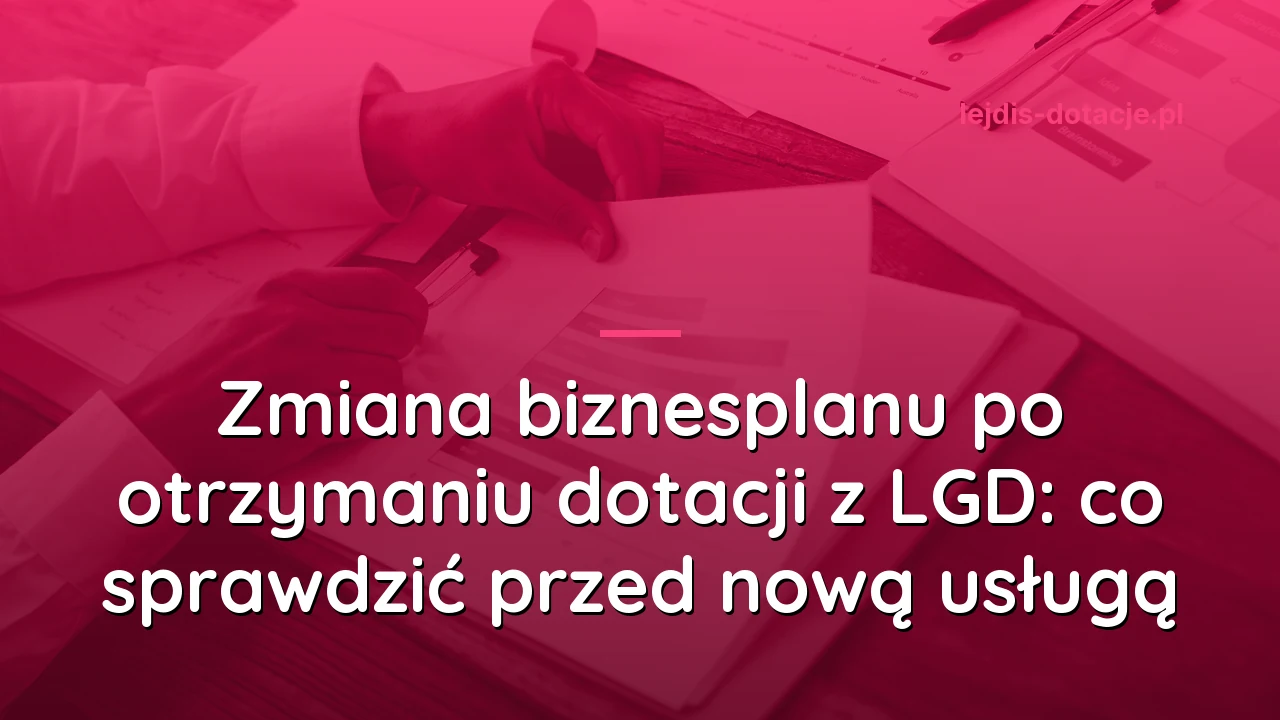 Zmiana biznesplanu po otrzymaniu dotacji z LGD: co sprawdzić przed nową usługą