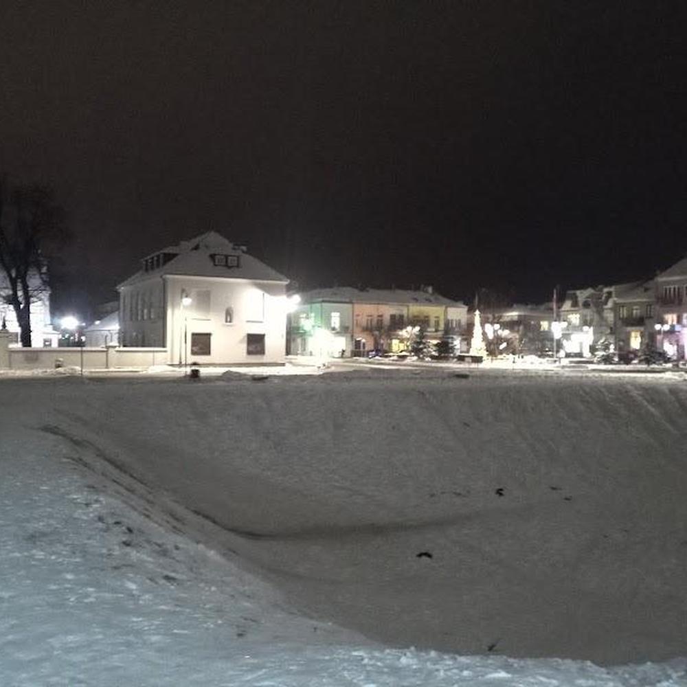 Urząd Pracy Radzyń Podlaski